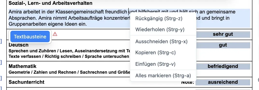 Kontextmenü im Textfeld
